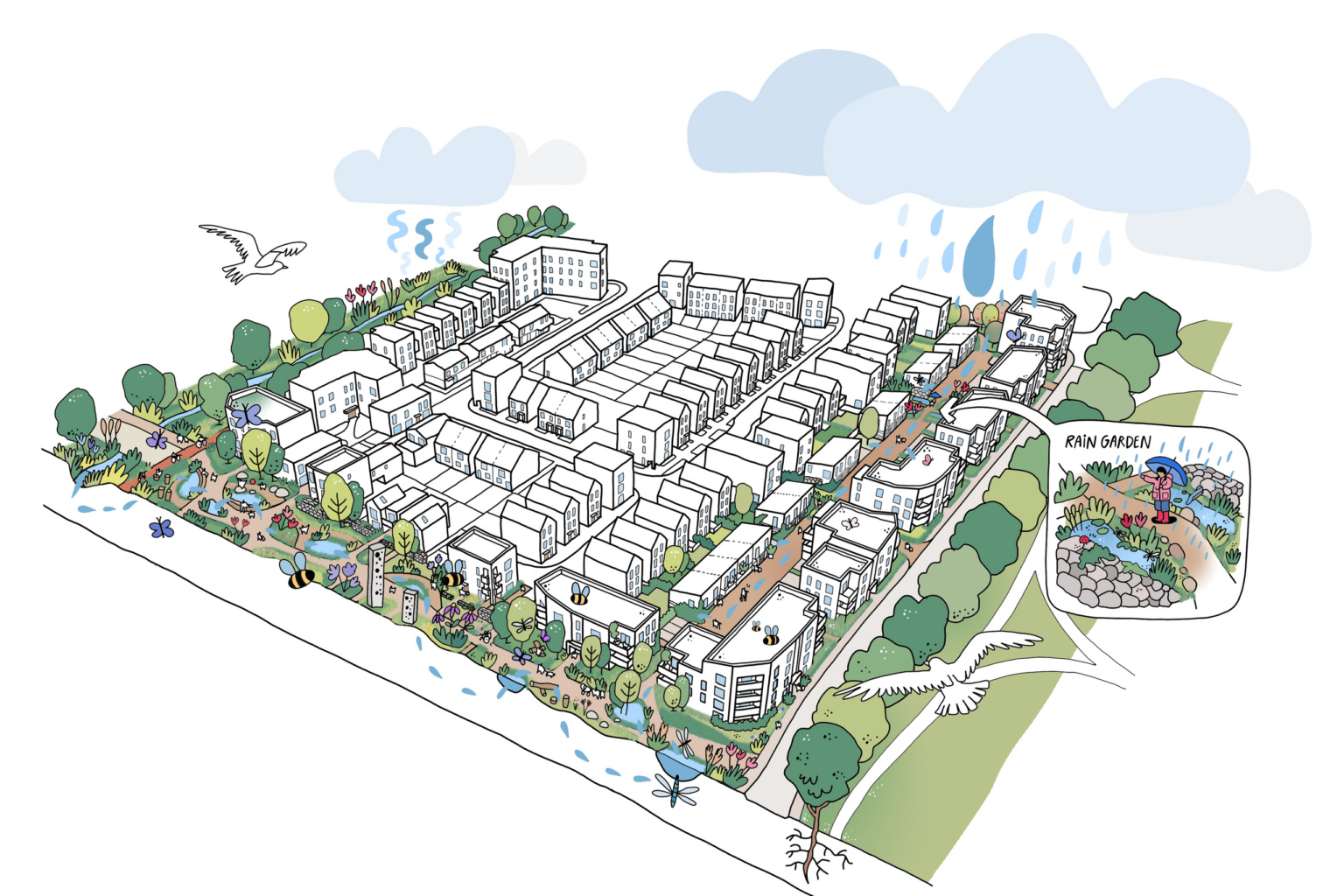 Darwin Green illustration