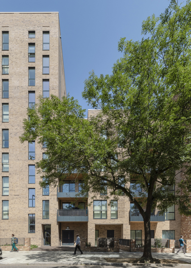 estate regeneration existing trees