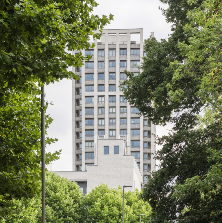 Winstanley regeneration